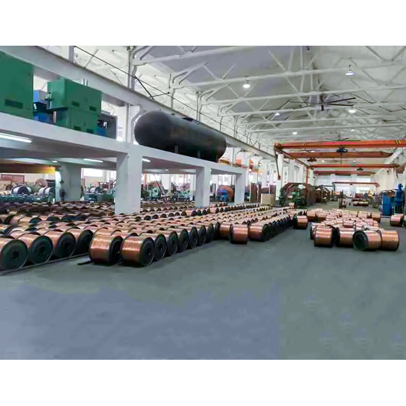 Dây và cáp cách điện bằng polyelefine liên kết ngang có điện áp định mức lên đến 450/750V