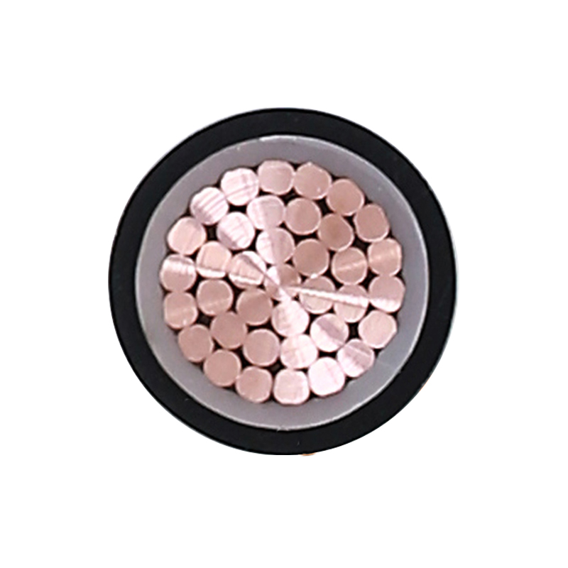 Cáp sạc EV cho điện áp định mức 450/750V