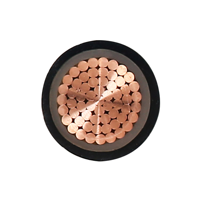 Cáp sạc EV cho điện áp định mức 450/750V