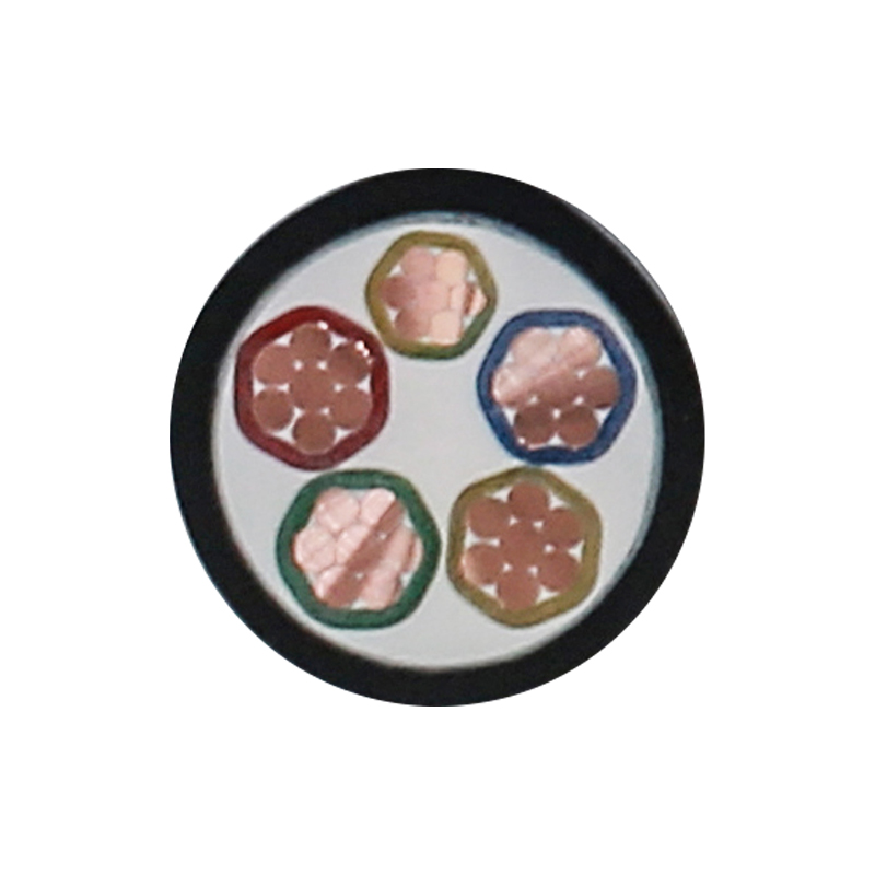 Cáp sạc EV cho điện áp định mức 450/750V