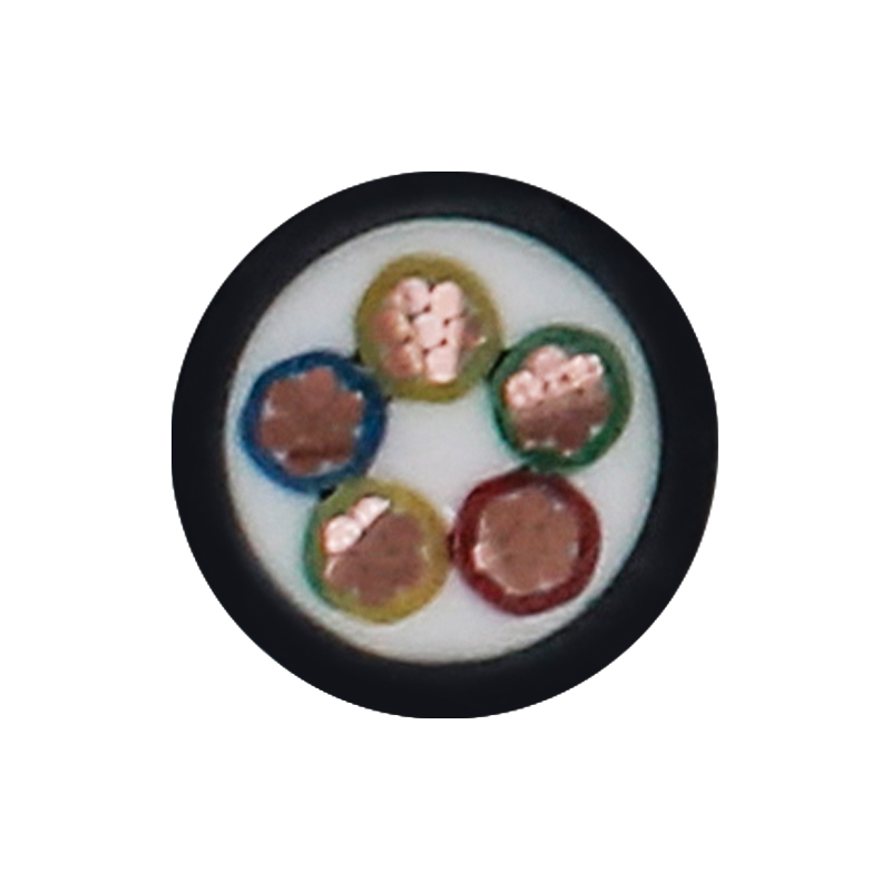 Cáp sạc EV cho điện áp định mức 450/750V