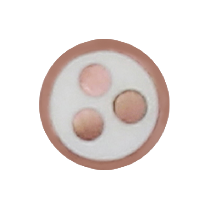 Cáp sạc EV cho điện áp định mức 450/750V