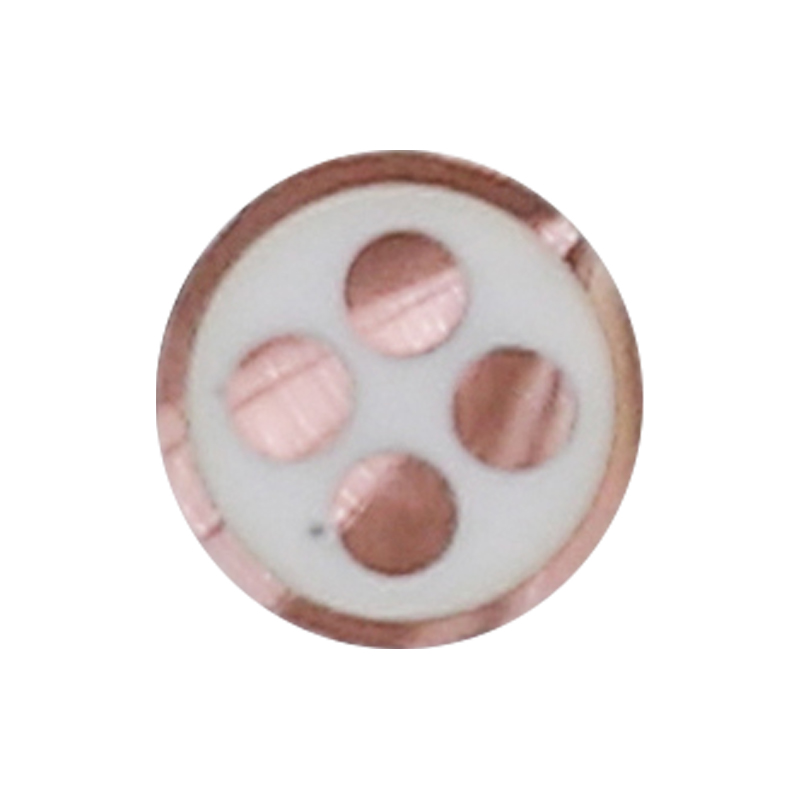 Cáp sạc EV cho điện áp định mức 450/750V