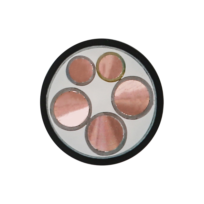 Cáp sạc EV cho điện áp định mức 450/750V