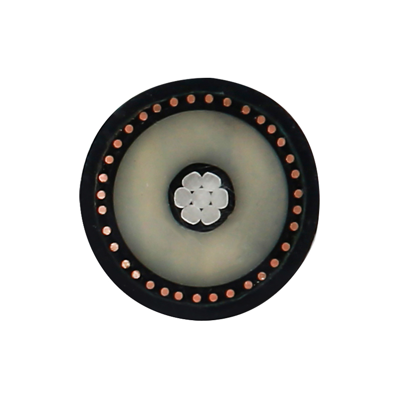 Cáp sạc EV cho điện áp định mức 450/750V