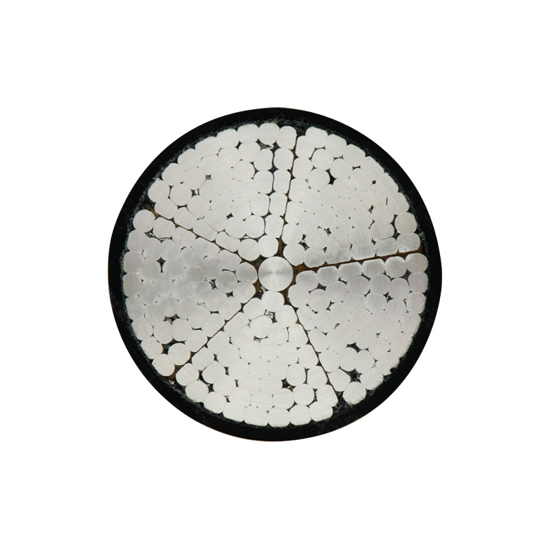 Cáp nguồn cách điện XLPE điện áp định mức 3,6/6kV -26/35kV